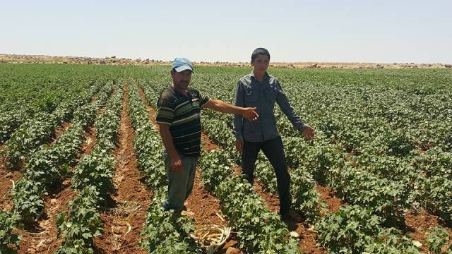 Akçakaleli Çiftçiler Bakan Fakıbaba`Dan Yardım Talep Ediyor.