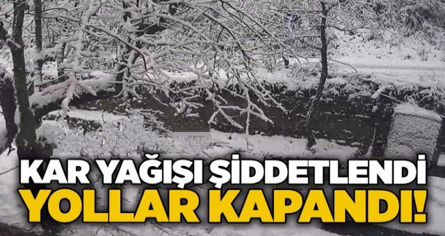 ŞANLIURFA’DA YOĞUN KAR YAĞIŞI ŞİDDETLENDİ YOLLAR KAPANDI 