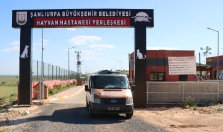 ŞANLIURFA'DA TAM TEŞEKKÜLLÜ HAYVAN HASTANESİ VE REHABİLİTASYON
MERKEZİ HİZMETE BAŞLADI